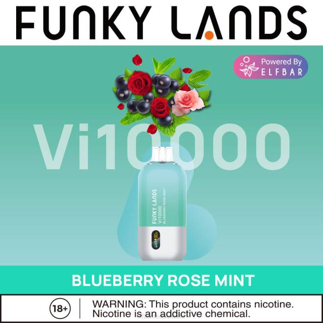 ELFBAR Funky Lands Einweg-Vape VI10000 Züge BFRR163 Blaubeer-Rosen-Minze